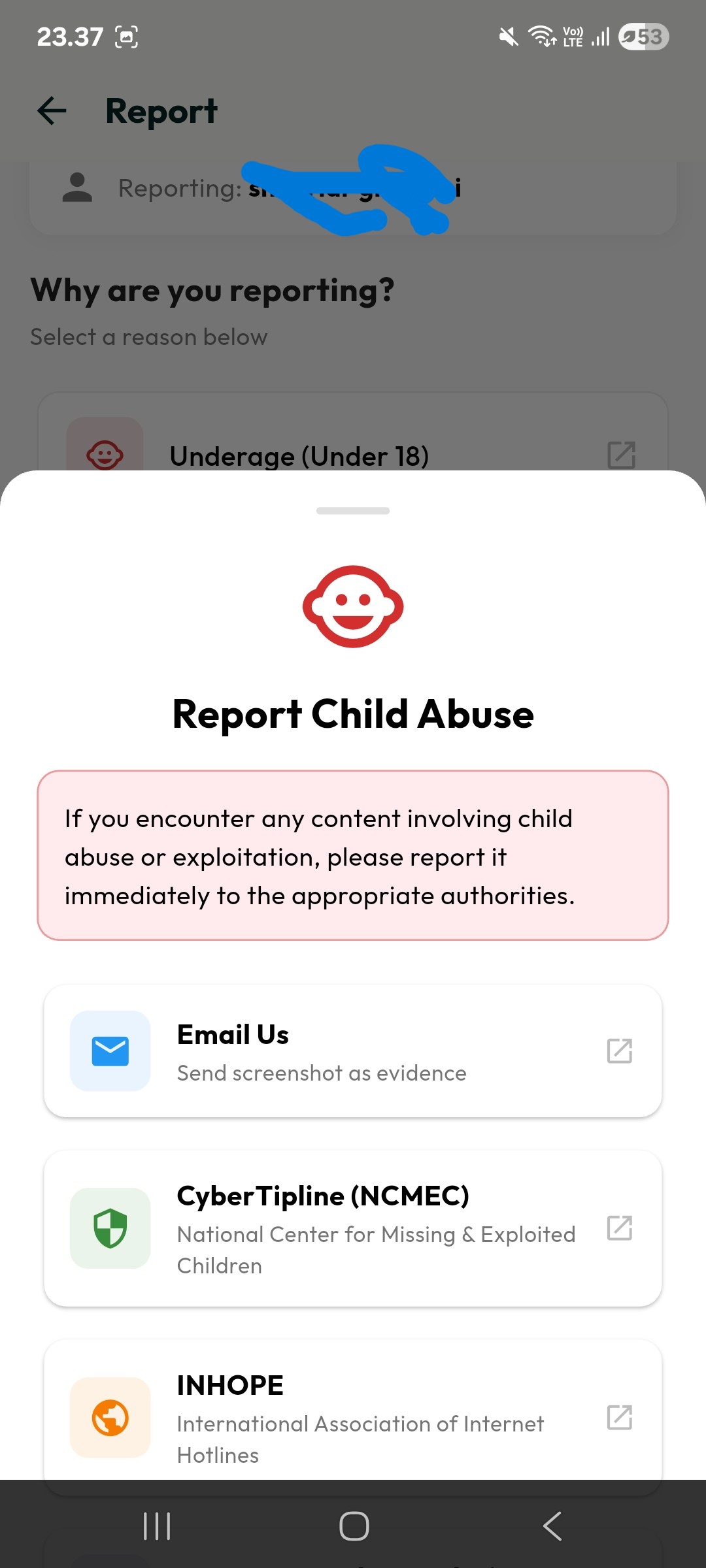 Child Abuse Report